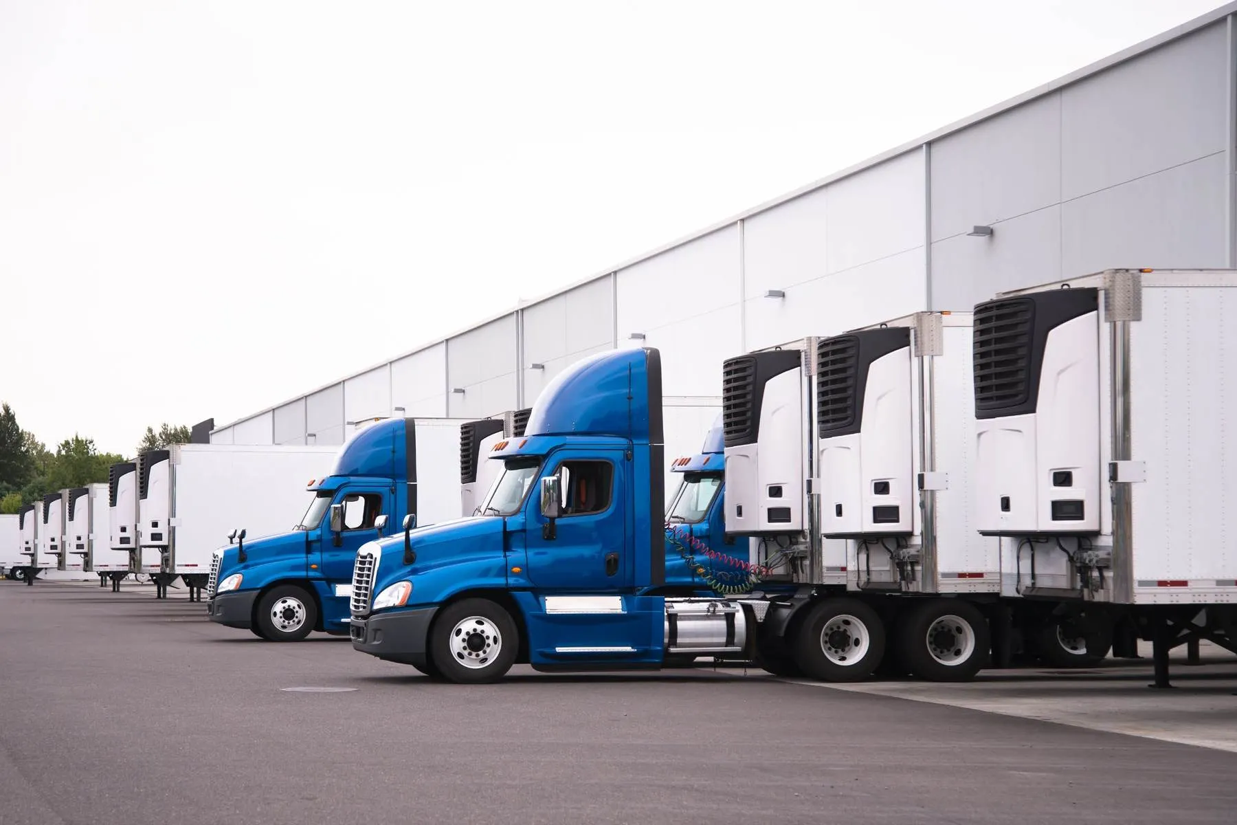 Trucks lined up at a distribution centre